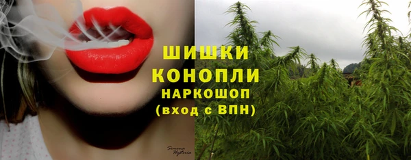 прущая мука Нея