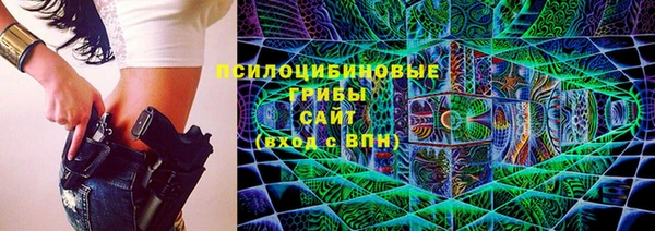 ешки Алексеевка