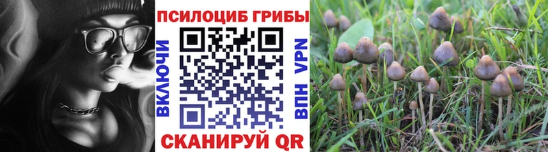 KRAKEN tor  Приморско-Ахтарск  Псилоцибиновые грибы Psilocybe 